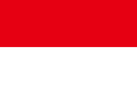 A national flag