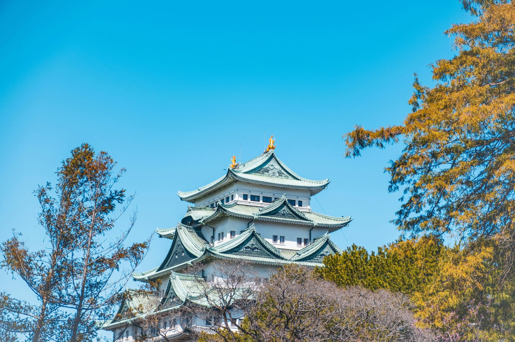 Nagoya Castle 02